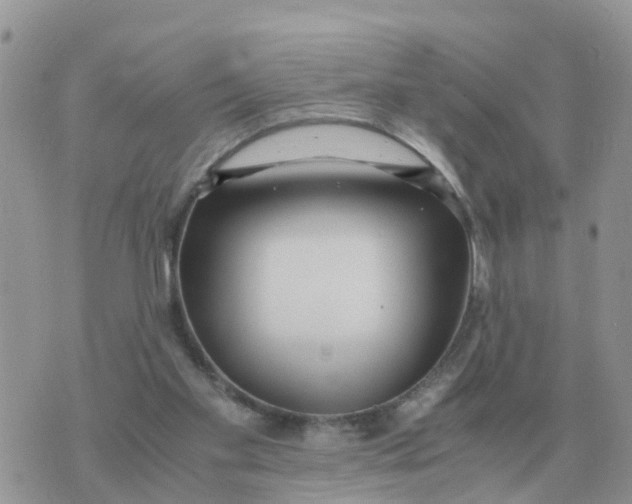 X0000070430109200606302136