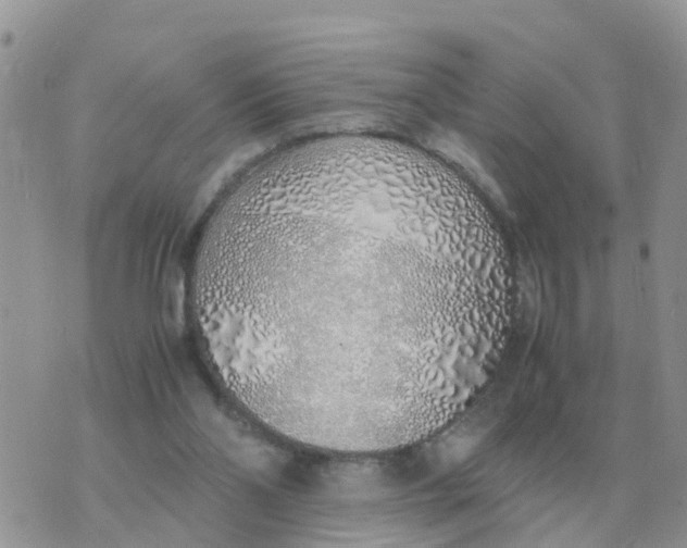 X0000070430110200606302136