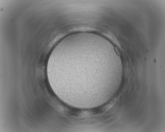 X0000070430111200606302136