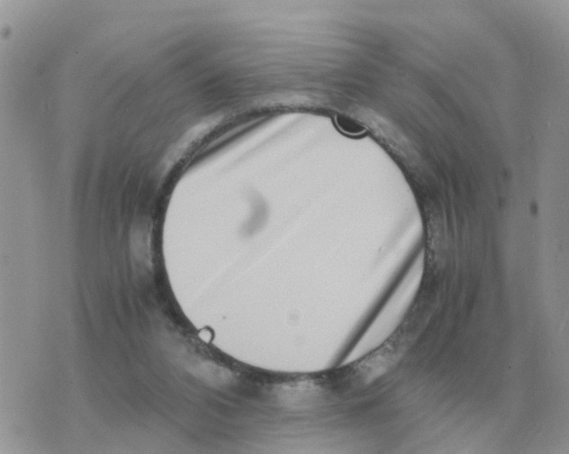 X0000070430112200606302136