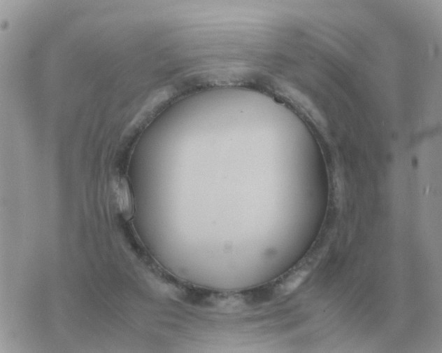 X0000070430113200606302136