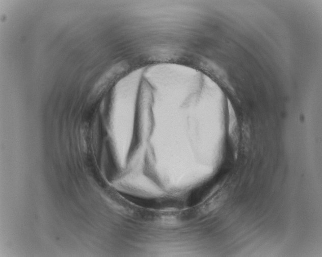 X0000070430114200606302136