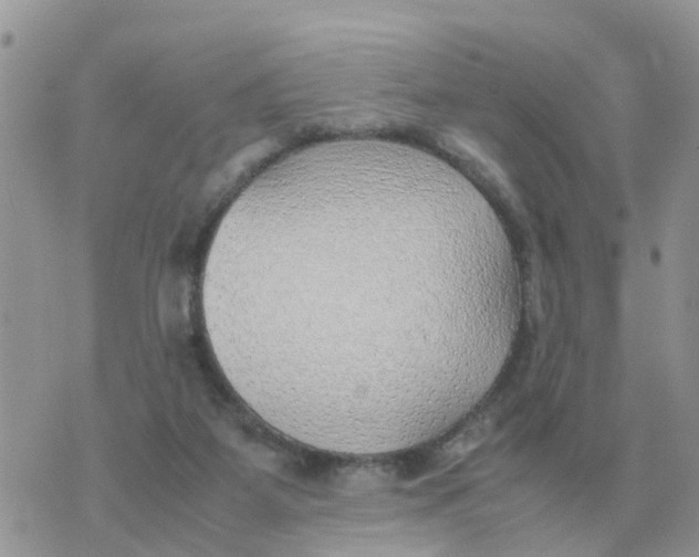 X0000070430115200606302136