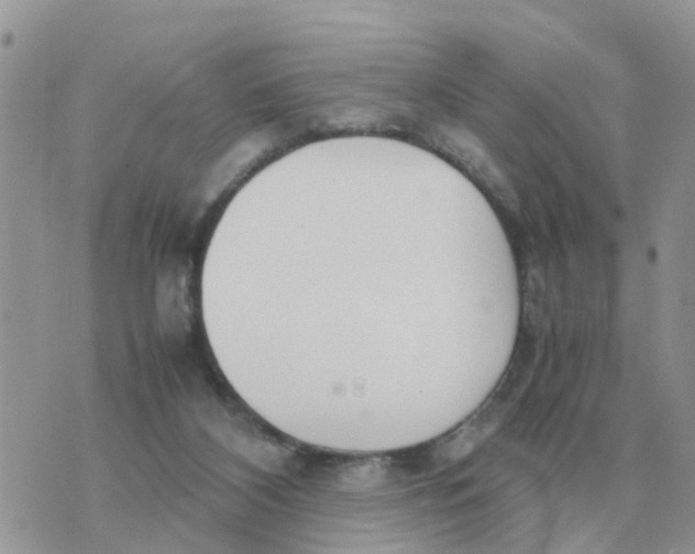 X0000070430116200606302136