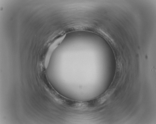 X0000070430117200606302136