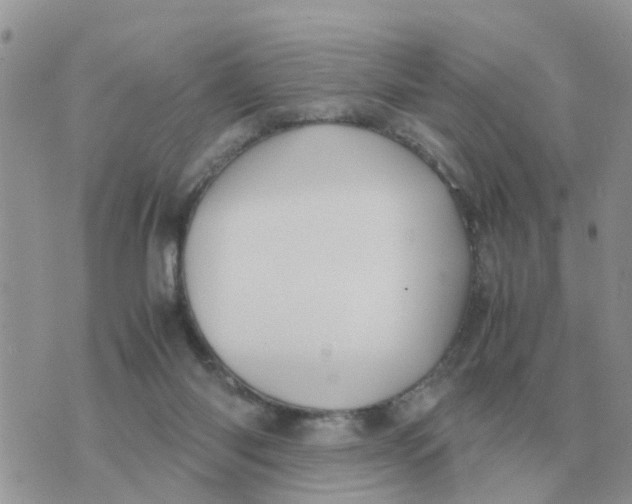 X0000070430118200606302136