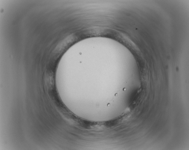 X0000070430119200606302136