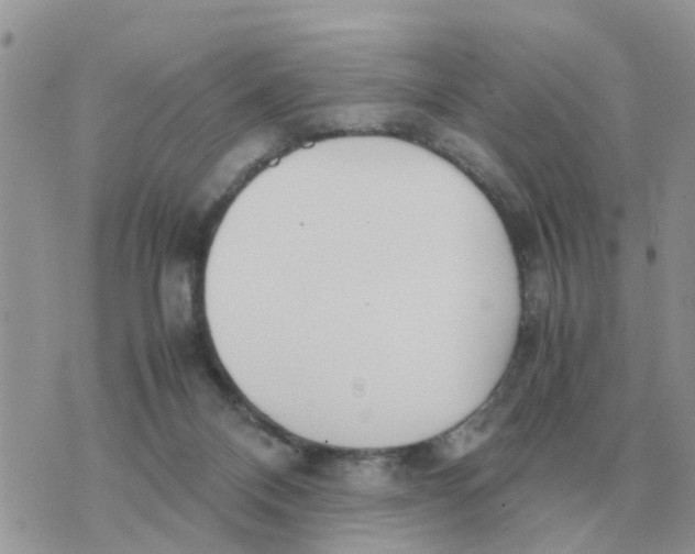 X0000070430120200606302136