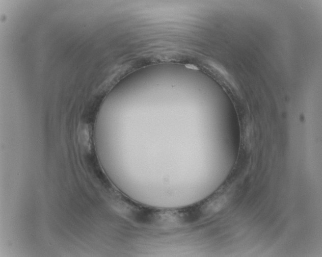 X0000070430121200606302136