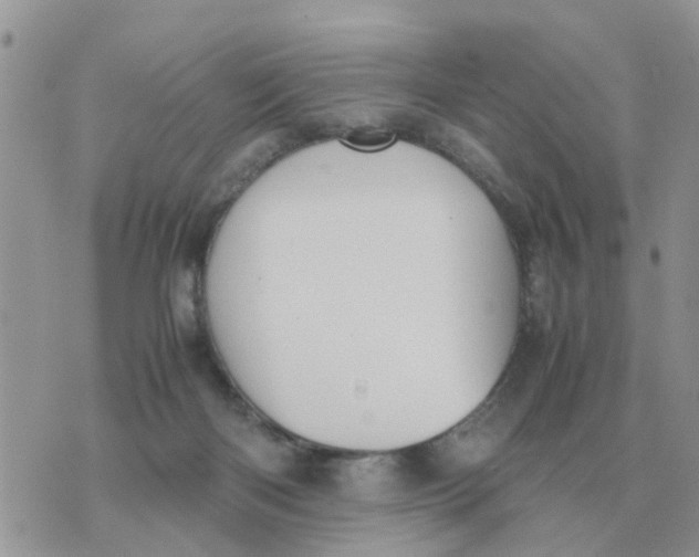 X0000070430122200606302136