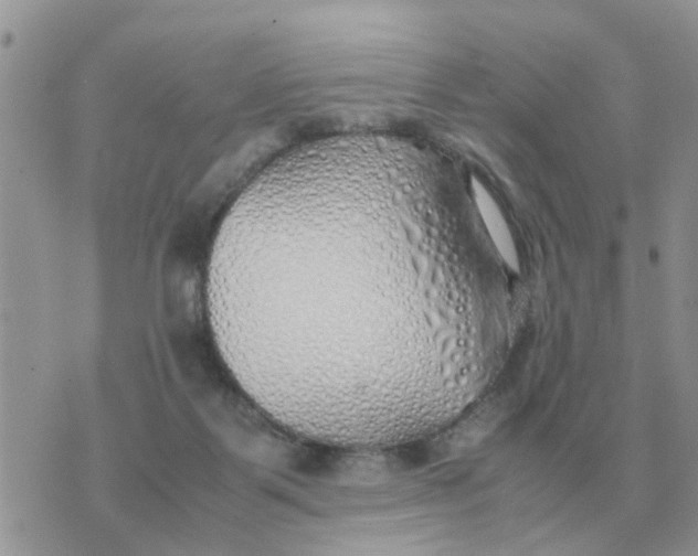 X0000070430123200606302136