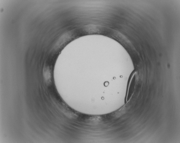 X0000070430124200606302136