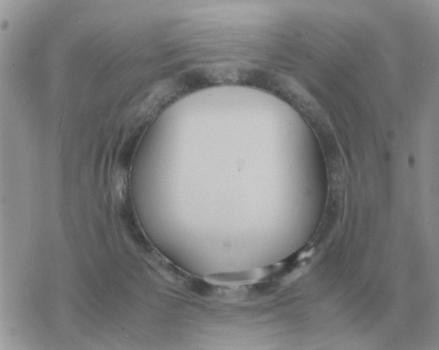 X0000070430125200606302136