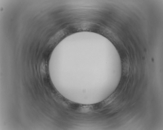 X0000070430126200606302136