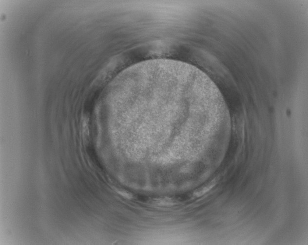 X0000070430127200606302136