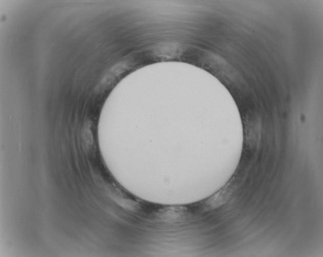 X0000070430128200606302136