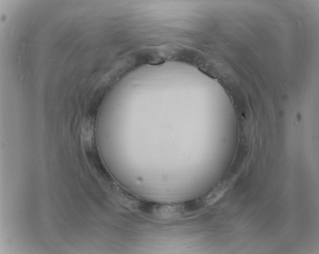 X0000070430129200606302136