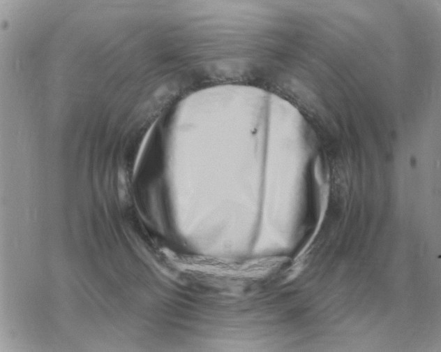 X0000070430130200606302136