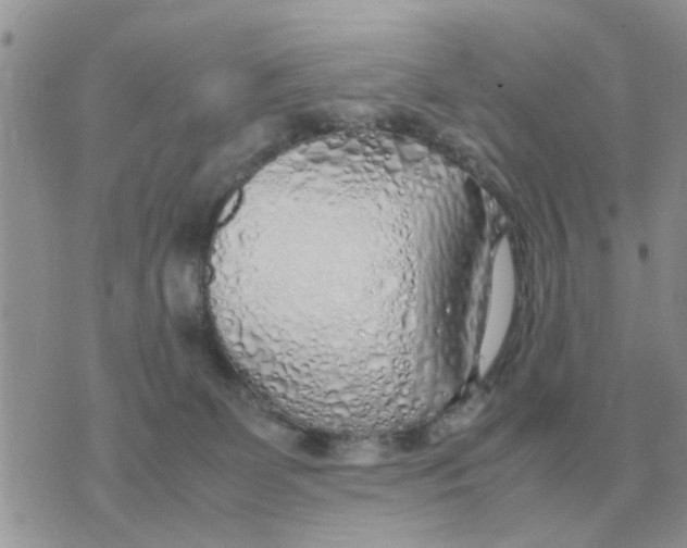 X0000070430131200606302136