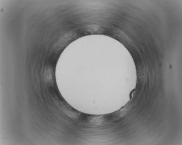 X0000070430132200606302136