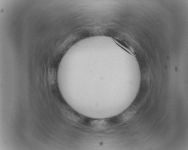 X0000070430133200606302136