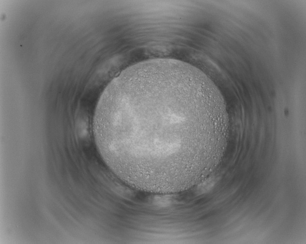 X0000070430134200606302136