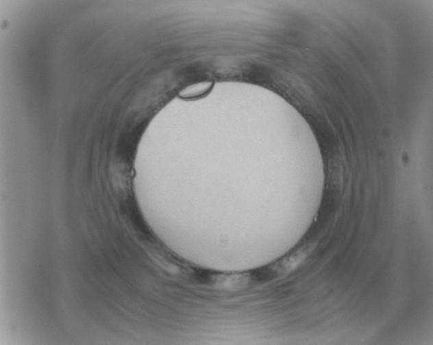 X0000070430135200606302136