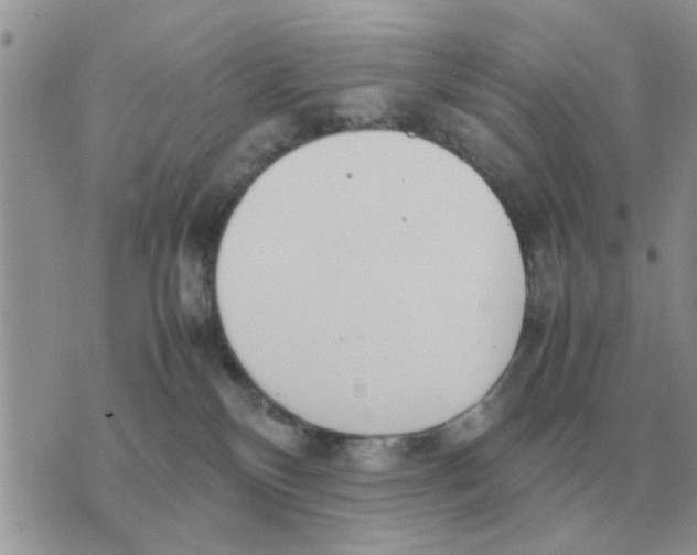 X0000070430136200606302136