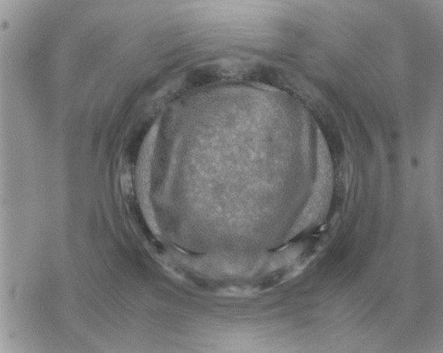 X0000070430137200606302136