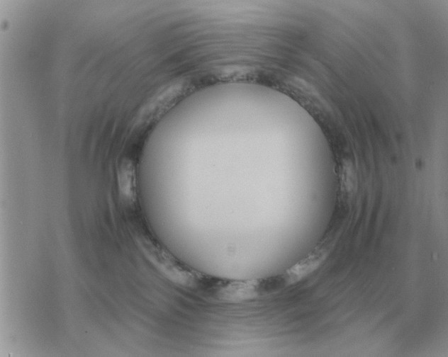 X0000070430138200606302136