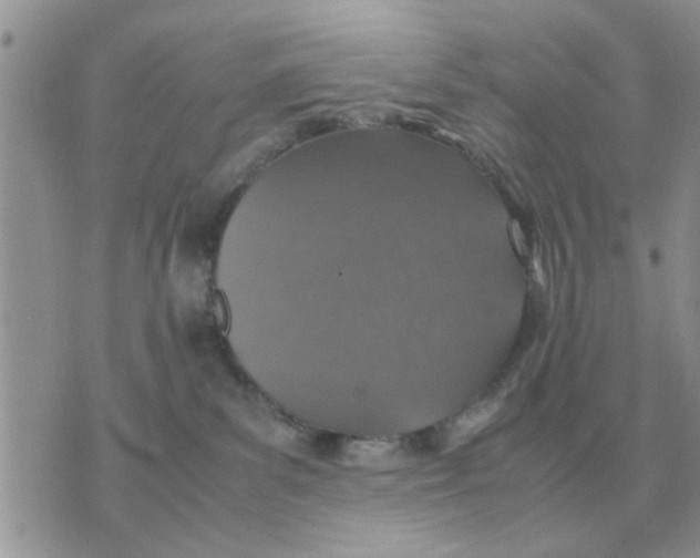 X0000070430139200606302136