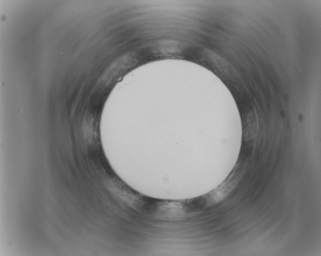 X0000070430140200606302136