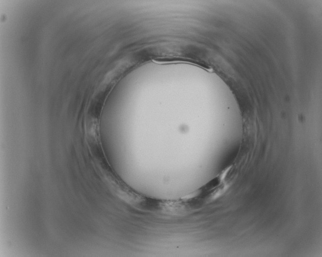 X0000070430141200606302135