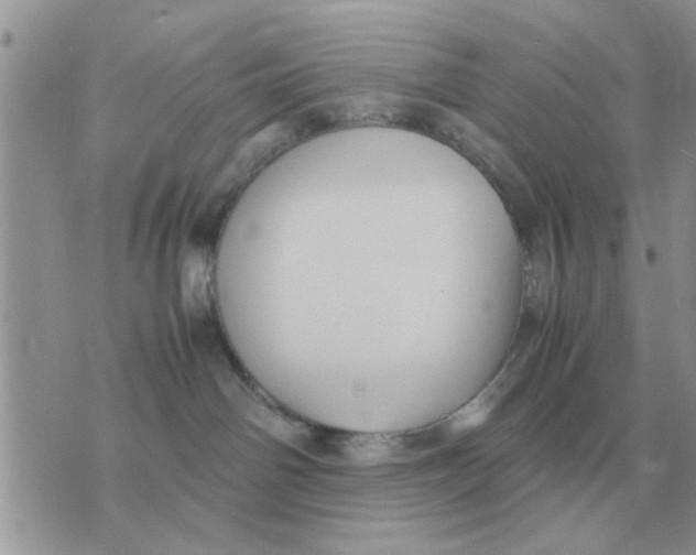 X0000070430142200606302135