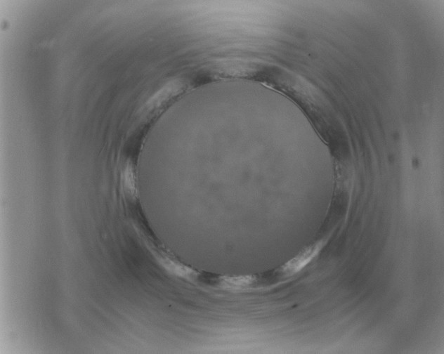 X0000070430143200606302135