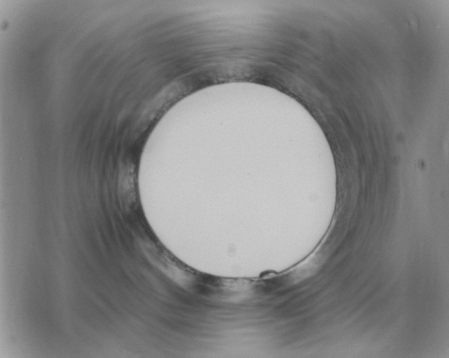 X0000070430144200606302135