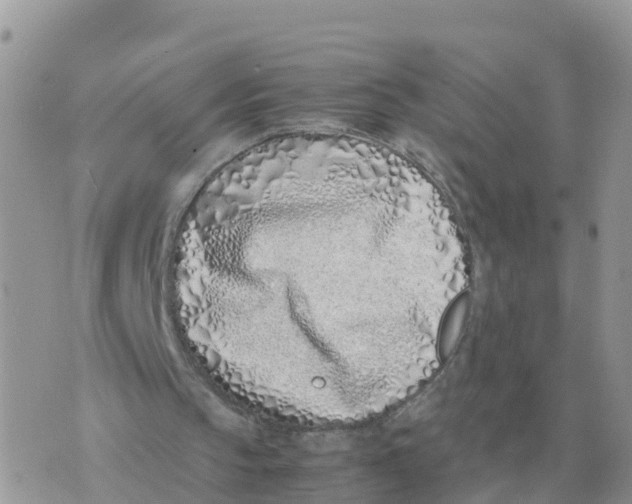 X0000070430145200606302135