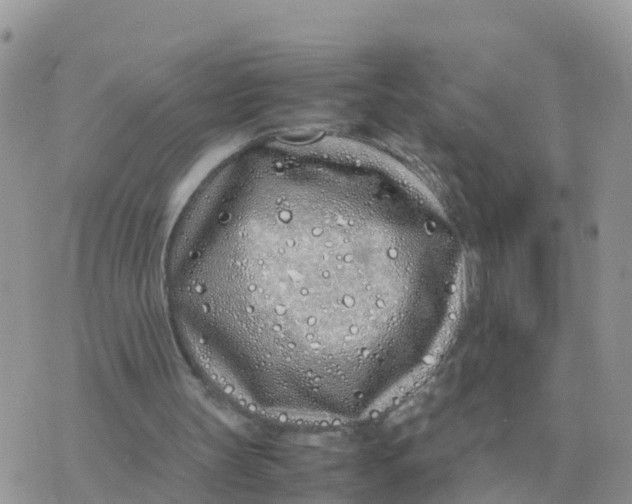 X0000070430147200606302135