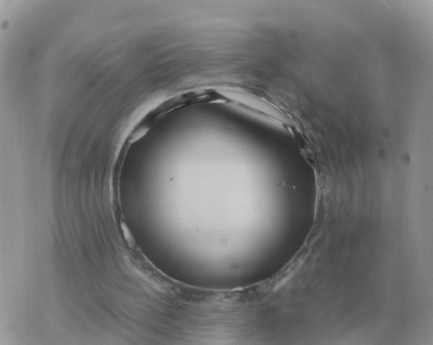 X0000070430148200606302135