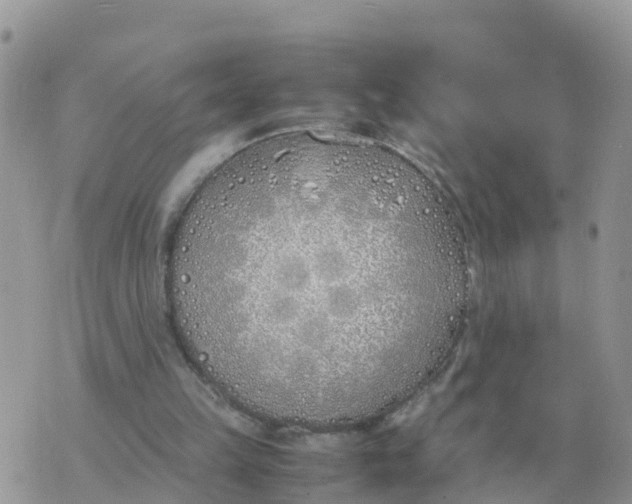 X0000070430149200606302135