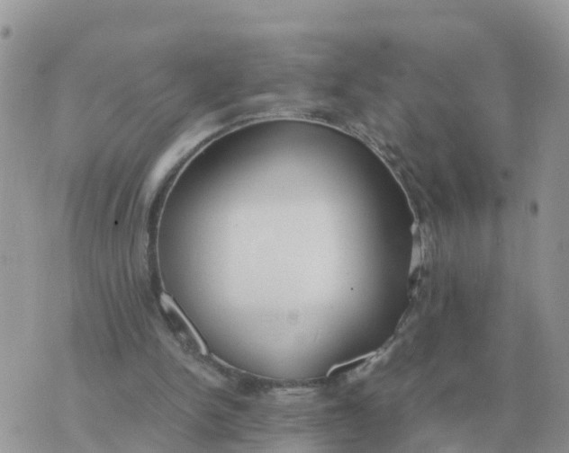 X0000070430150200606302135