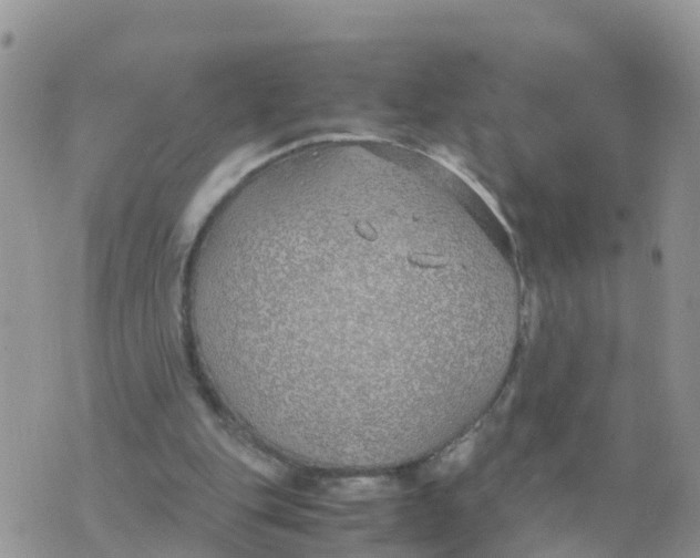 X0000070430151200606302135