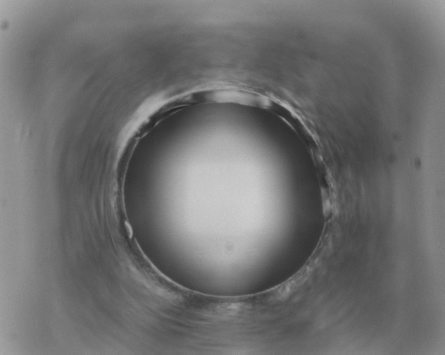 X0000070430152200606302135