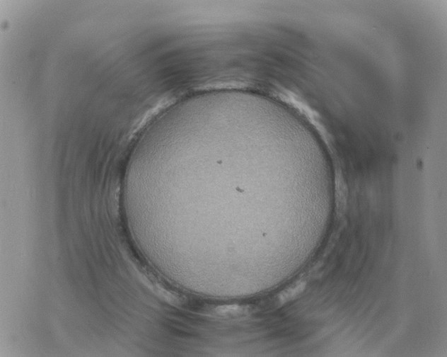 X0000070430153200606302135