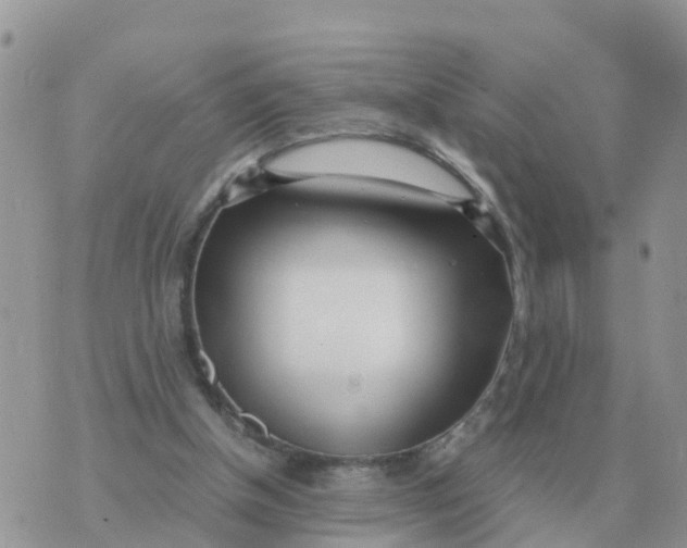 X0000070430154200606302135