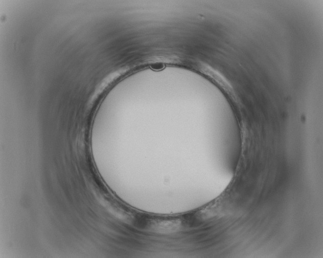 X0000070430155200606302135