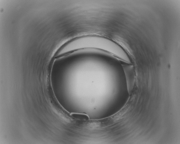 X0000070430156200606302135