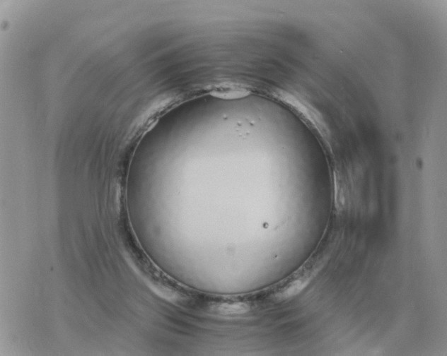 X0000070430157200606302135