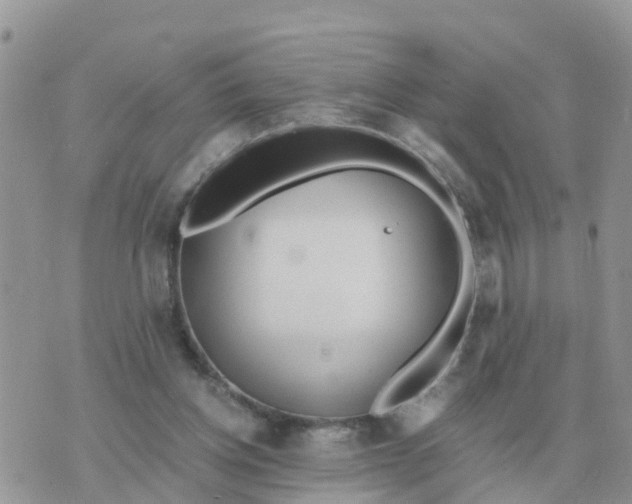 X0000070430158200606302135