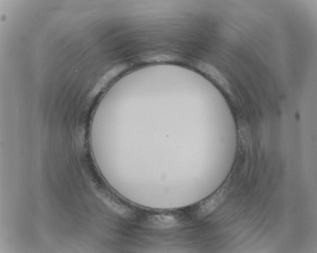 X0000070430159200606302135